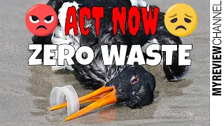 Zero Waste Products: Best 10 Zero Waste Products 2019  (you can buy on Amazon)