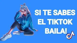 🌲🌲SI TE SABSE EL TIKTOK BAILA! 🌲🌲(2024) (TIKTOK MASHUP)