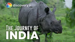 Coexist and Conserve: India's National Parks | The Journey of India | discovery+