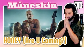 Måneskin - Honey (are you coming?) Reactionalysis (reaction). Music Teacher analyses Maneskin