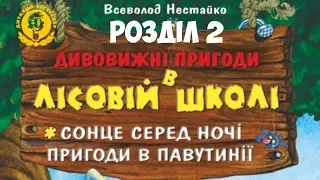 🔔 Аудіокнига "ДИВОВИЖНІ ПРИГОДИ У ЛІСОВІЙ ШКОЛІ". Сонце серед ночі. В. НЕСТАЙКО. Розділ II.