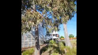 Outside Springvale Library VIC 🇦🇺- State of the Art