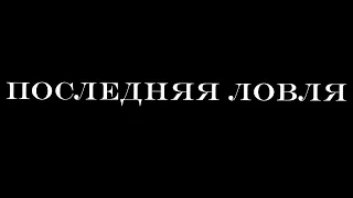 Поймал 3 ВАЙНВУДА И ТУПИК МИРРОР ПАРКА | Последняя ловля домов #11 | gta 5 rp