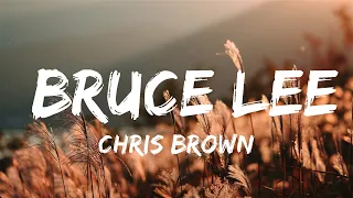 Chris Brown - Bruce Lee  | Music Ariel