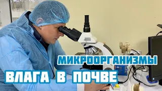 Микроорганизмы могут помочь сохранить влагу в почве