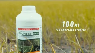 Frontier Herbicide 200 OD| Paano ang Tamang Dosage at Tamang Timing | Leads Agri