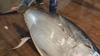 459kg Super-Huge Bluefin Tuna Perfectly Cut