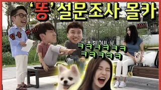 🇺🇲🇮🇩🇻🇳SUB] [몰카] 나만의 쾌변 노하우는? 저 세상 텐션 설문조사 몰카ㅋㅋㅋㅋㅋ - [동네놈들]