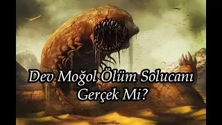 Dev Moğol Ölüm Solucanı Gerçek Mi?