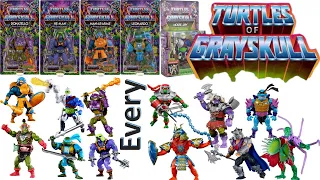 Every MOTU TMNT Crossover Comparison List - Turtles of Grayskull - Masters of the Universe