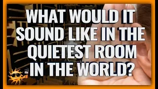 The Quietest Place On Earth! What Would It Sound Like In The Quietest Room In The World?