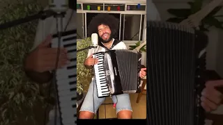 mestrinho mestrinho do acordeon quarentena live 1 dezembro 2020