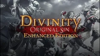 Divinity: Original Sin - Enhanced Edition. Кооператив. Доблестный режим.
