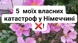 П"ять моїх власних катастроф у Німеччині! Корисний досвід.