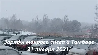 Заряды Мокрого снега в Тамбове 31 января 2021!