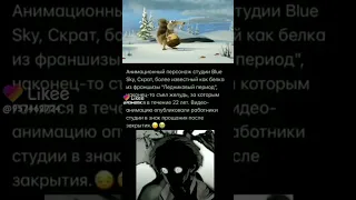 Белка наконец съела орех😀.А компания закрылась😣#скрот#досталорех