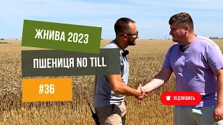 Збираємо🚜 пшеницю 🌾 пo ноутилу (No-Till). Україна 🇺🇦 Ізмаїл.