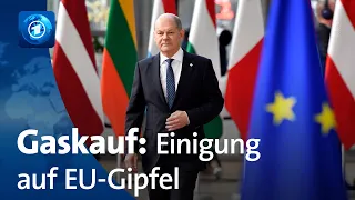 Energiestreit: Grundsatzeinigung bei EU-Gipfel