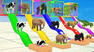 DON'T CHOOSE The WRONG WATERSLIDE With Elephant, Cow, Tiger Gorilla Escape Room Challenge Cage Game