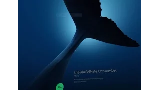 Wevr Trasport: TheBlu Whale Encounter - HTC Vive