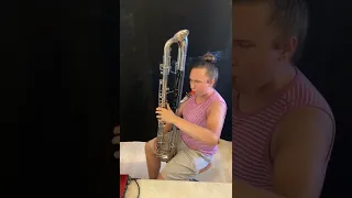 Little Bird - Contrabass Clarinet