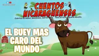 El buey mas caro del mundo | Pancho Madrigal