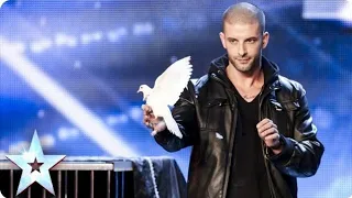 darcy oake's jaw-dropping dove illusions/