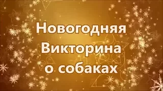 Новогодняя Викторина о собаках