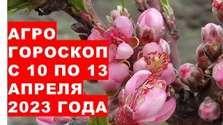 Агрогороскоп с 10 по 13 апреля. Агрогороскоп з 10 по 13 квітня 2023 року