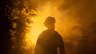 Protecting giants: How Bosch sensors help fight forest fires