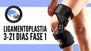 FASE 1: Ligamentoplastia rehabilitacion para la operacion del ligamento cruzado anterior o lca