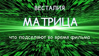 Фильм Матрица. Что происходит на самом деле. #Весталия