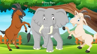 Happy animal moment: Elephant, Goat, Horse, Donkey, Ruffed Lemur - Animals sound