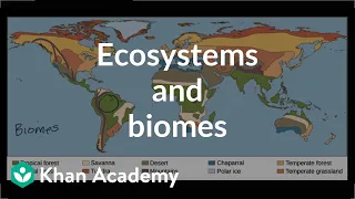 Ecosystems and biomes  | Ecology | Khan Academy