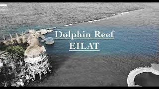Dolphin Reef | Eilat 2020