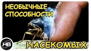 10 Насекомых с Удивительными и Необычными Способностями