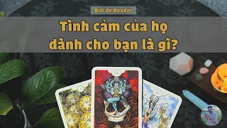 🥸 TÌNH CẢM của họ dành cho bạn là gì? 💙 #tarot