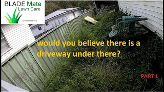 Yard cleanup for a neighbour Part 1