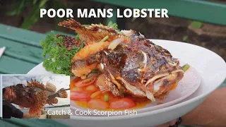 Catch and Cook Scorpion Fish (Poor Mans Lobster) Sensational Crispy Sweet n Sour Fish