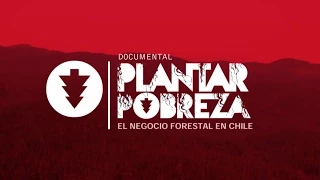 PLANTAR POBREZA, EL NEGOCIO FORESTAL EN CHILE - DOCUMENTAL
