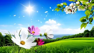 A Beautiful Hour in the Morning | Prayer Music | Sacred Melodies |Calm And Peaceful | relaxing music