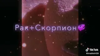 лучшие пары знака зодиака