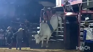 Rodeio em touros de Bragança Paulista  Touro xonado Cia de rodeio OTK Melhor Touro 🐂2022