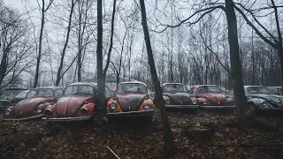 Rare Abandoned Volkswagen Beetle Graveyard in the US!!