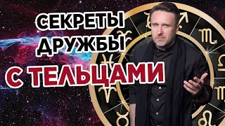 СЕКРЕТЫ ДРУЖБЫ С ТЕЛЬЦАМИ