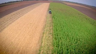 riprese aeree con drone per agricoltura