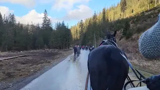 Przejażdżka bryczką po Dolinie Chochołowskiej