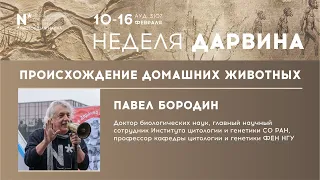 Происхождение домашних животных. Лекци доктора биологических наук Павла Михайловича Бородина