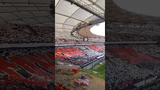 VfB Stuttgart Saisonrückblick 22/23🤍❤🤍 Choreos und mehr...🔥 #fans #fußball #vfb #bundesliga