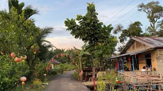 🇮🇩印尼加里曼丹岛上的客家村落，祥和宁静，无忧无虑地就像一个世外桃源！